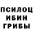 Псилоцибиновые грибы Magic Shrooms Fresh75ru f